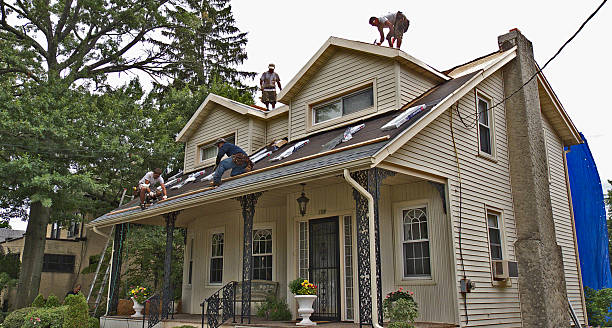 Best Roof Replacement Cost  in Cactus, TX